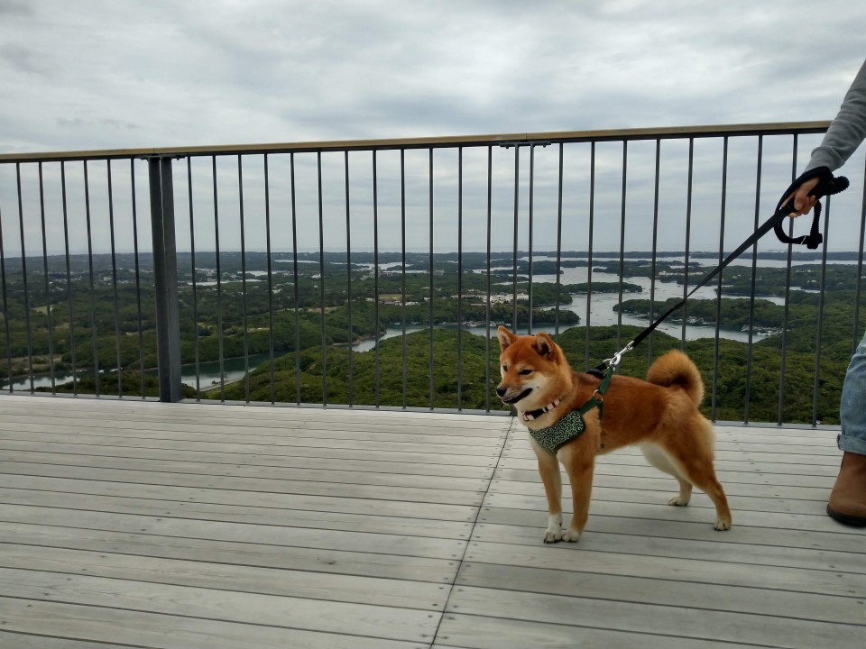 伊勢志摩横山展望台