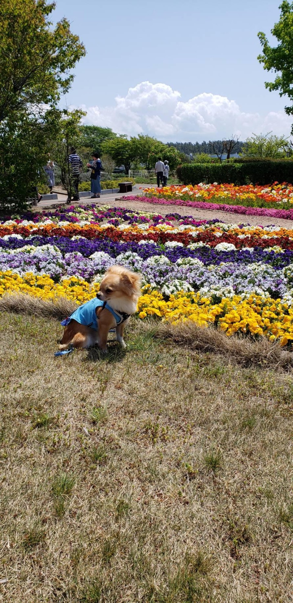 ハーブワールドAKITA