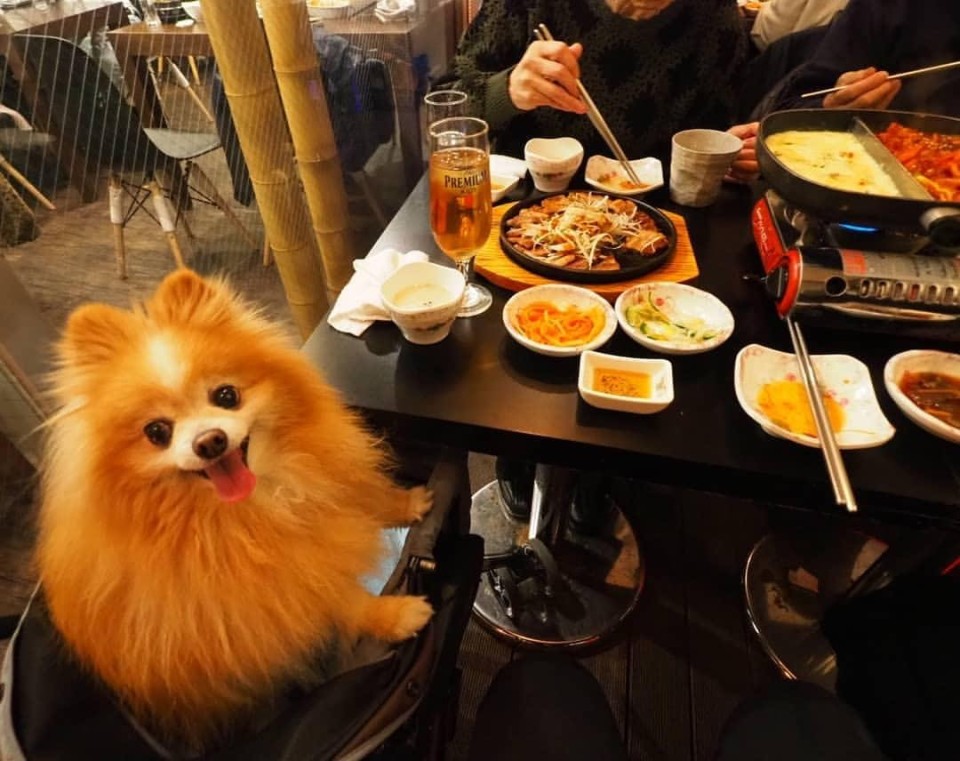 韓国料理ハンス