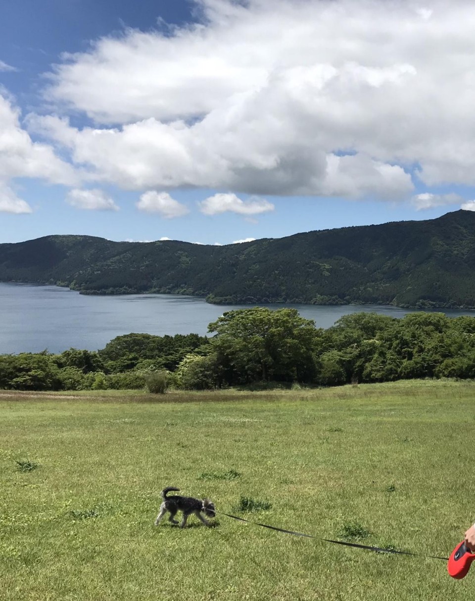富士芦ノ湖パノラマパーク
