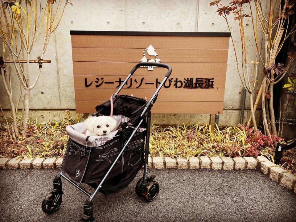 レジーナリゾートびわ湖長浜