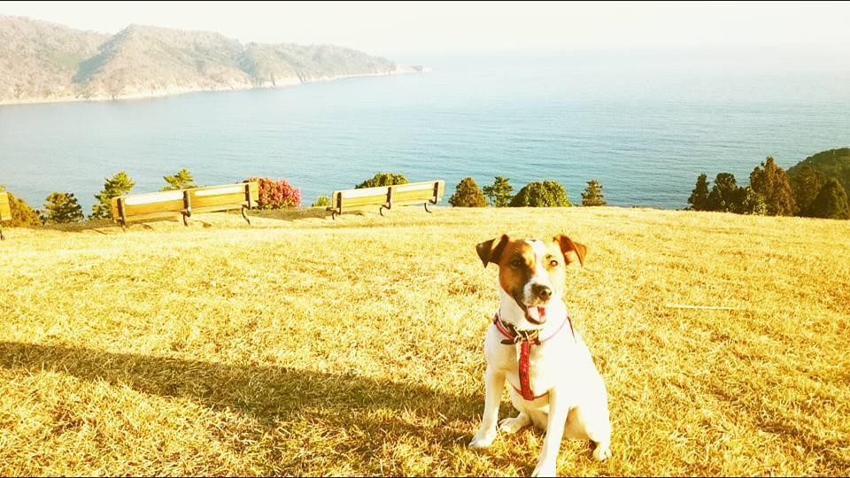 石巻民泊「かめハウス」