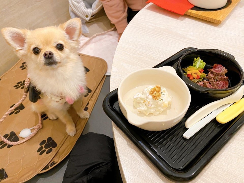 スイスレストラン セントバーナード 仙川店