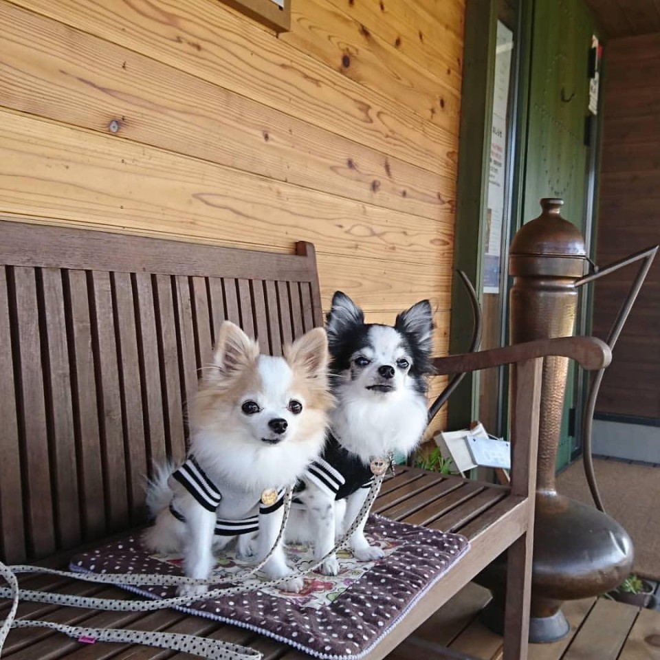 パンとカレー（旧・三井製パン）