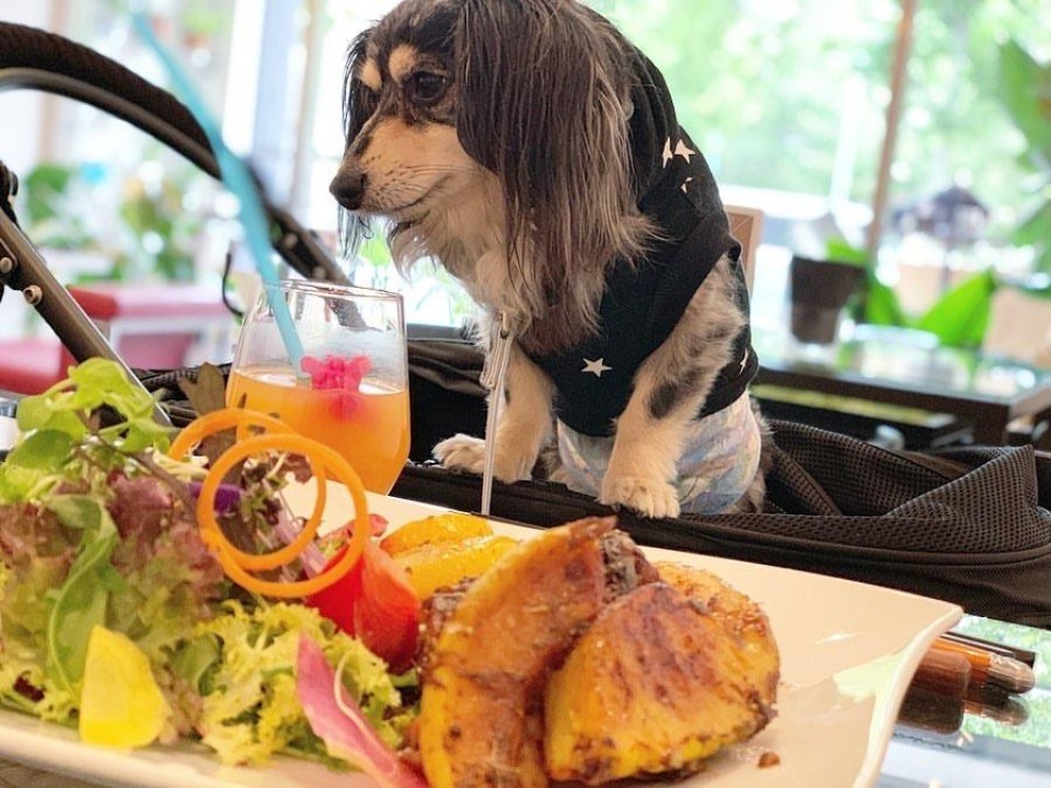 マスカレード 北堀江 （MASQUERADE）