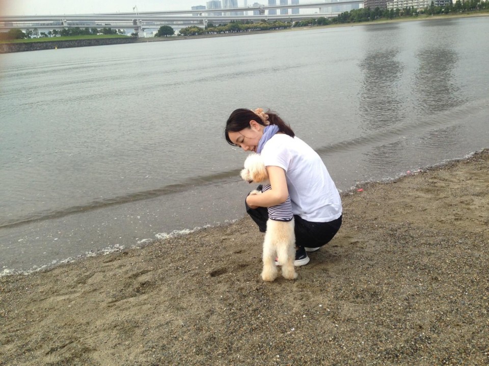 お台場海浜公園