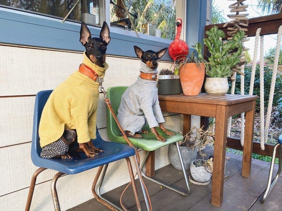 FRANK COFFEE and WORK SHOP （フランクコーヒーアンドワークショップ）