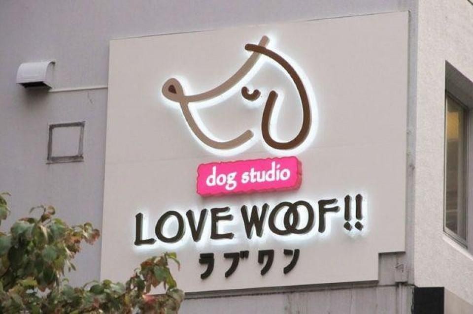 dog studio LOVE WOOF! !  品川芝浦(ドッグスタジオ ラブワン!!)