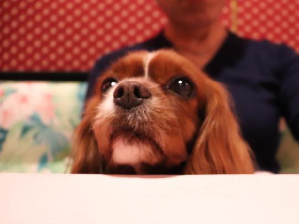 【閉店】RABELAIS （ラブレー）