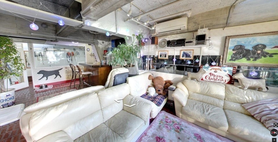 Knight no papa(ナイトのパパ)