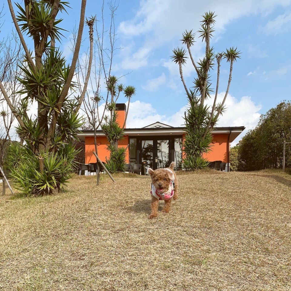 ネスタリゾート神戸