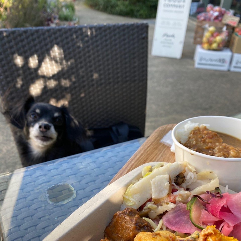 【閉店】ターブルオギノ湘南 湘南T-SITE