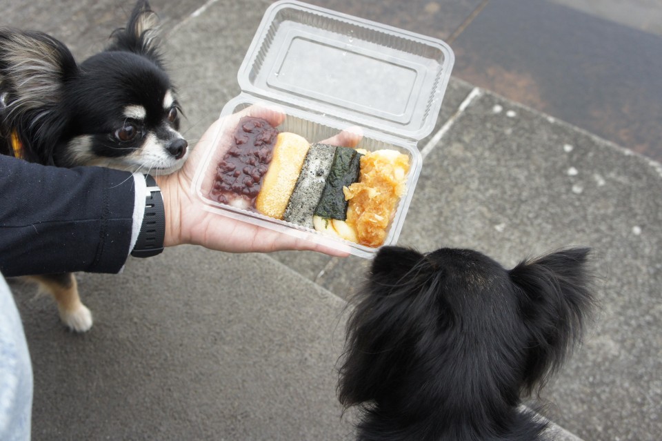 権現からめもち