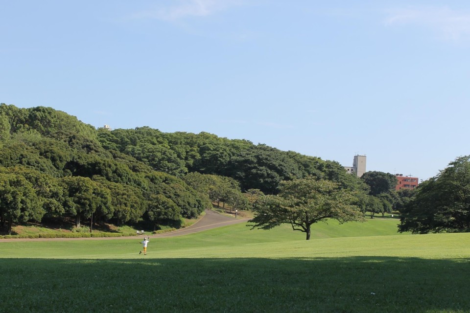 根岸森林公園