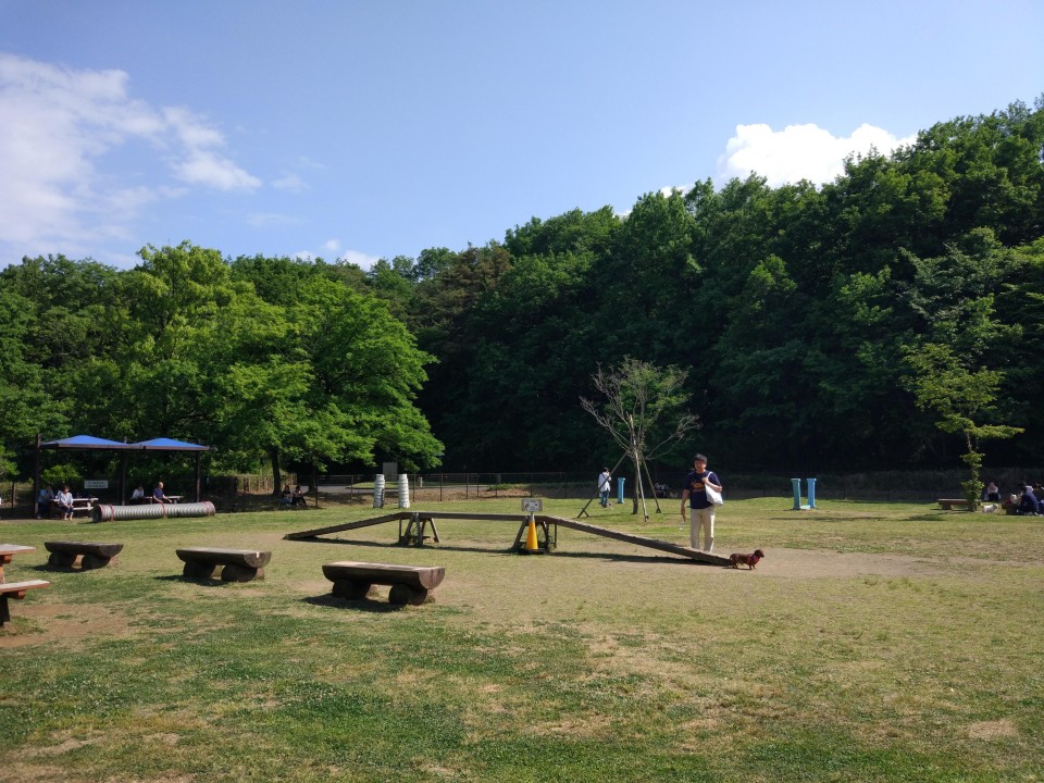 武蔵丘陵森林公園ドッグラン