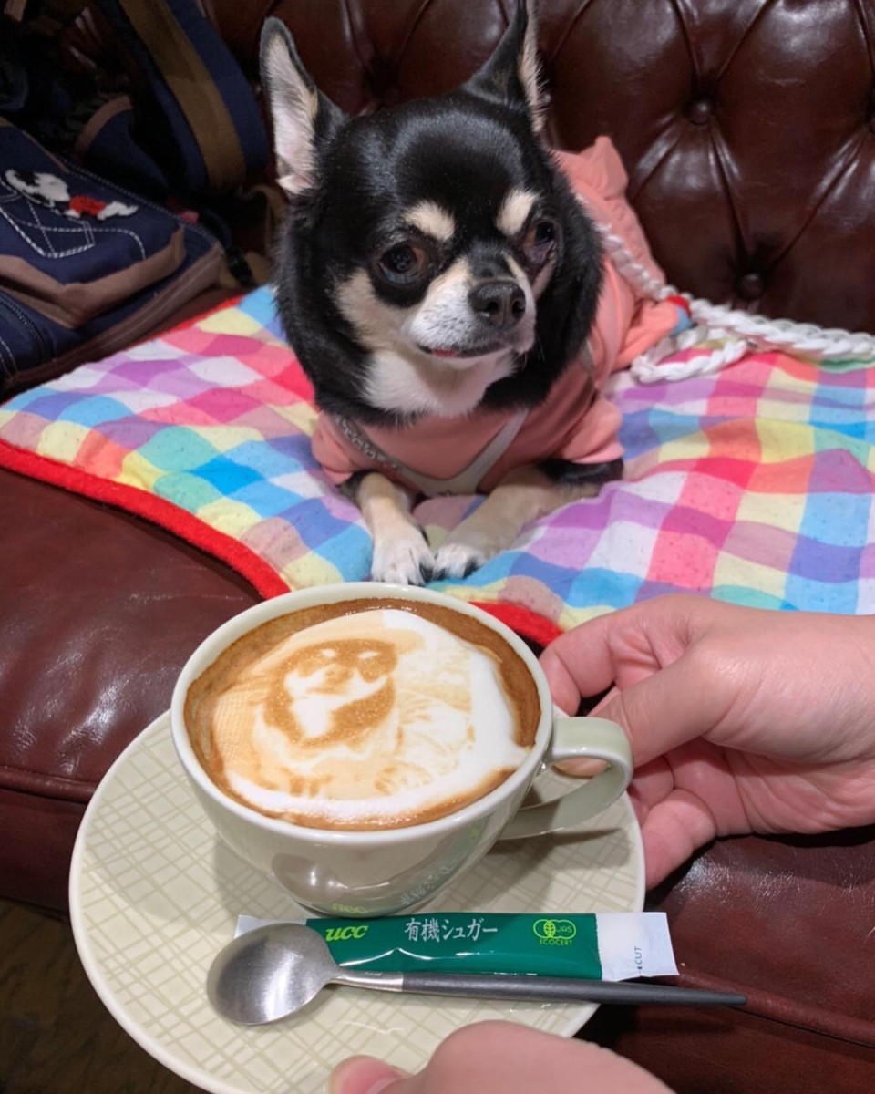 KOUME CAFE×DINING （コウメカフェダイニング）