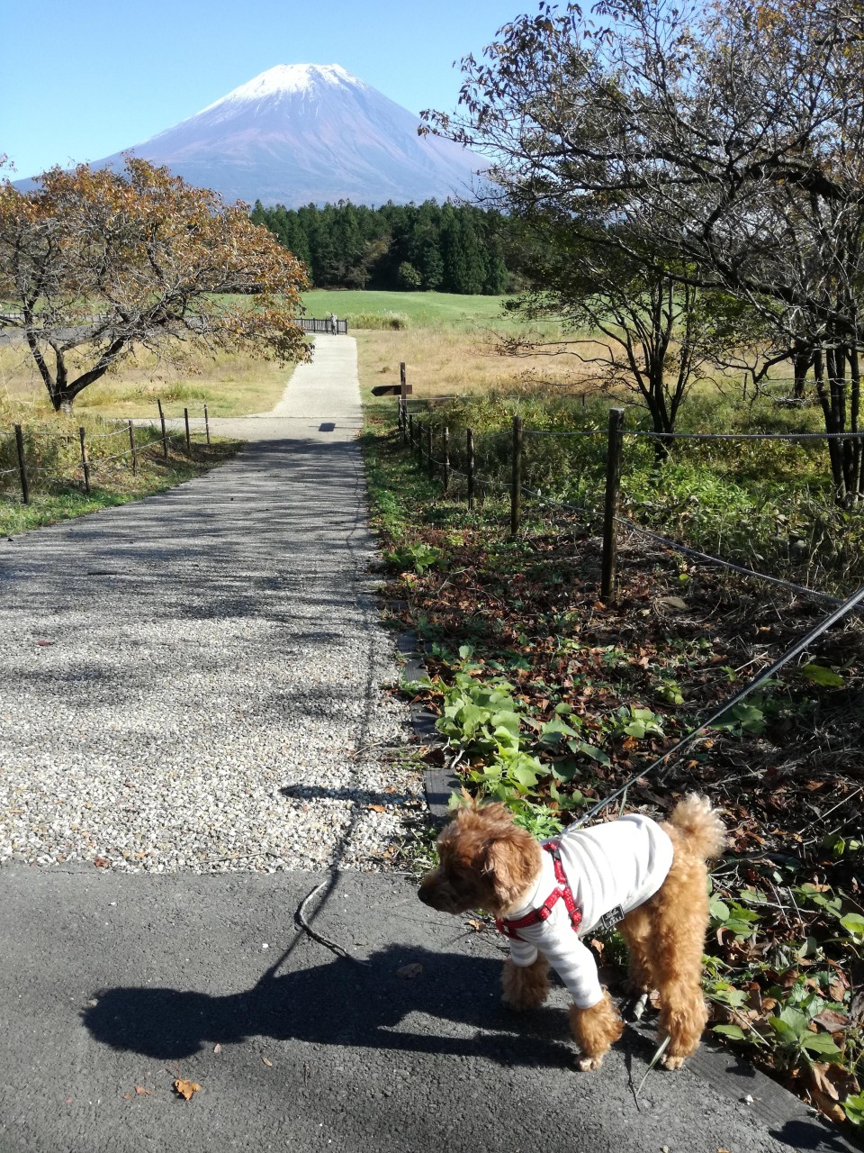 埼玉県営 狭山稲荷山公園