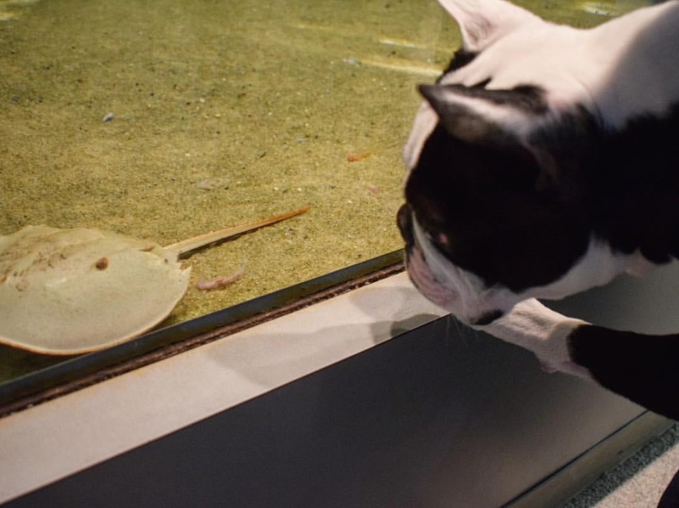 伊勢志摩マリンランド