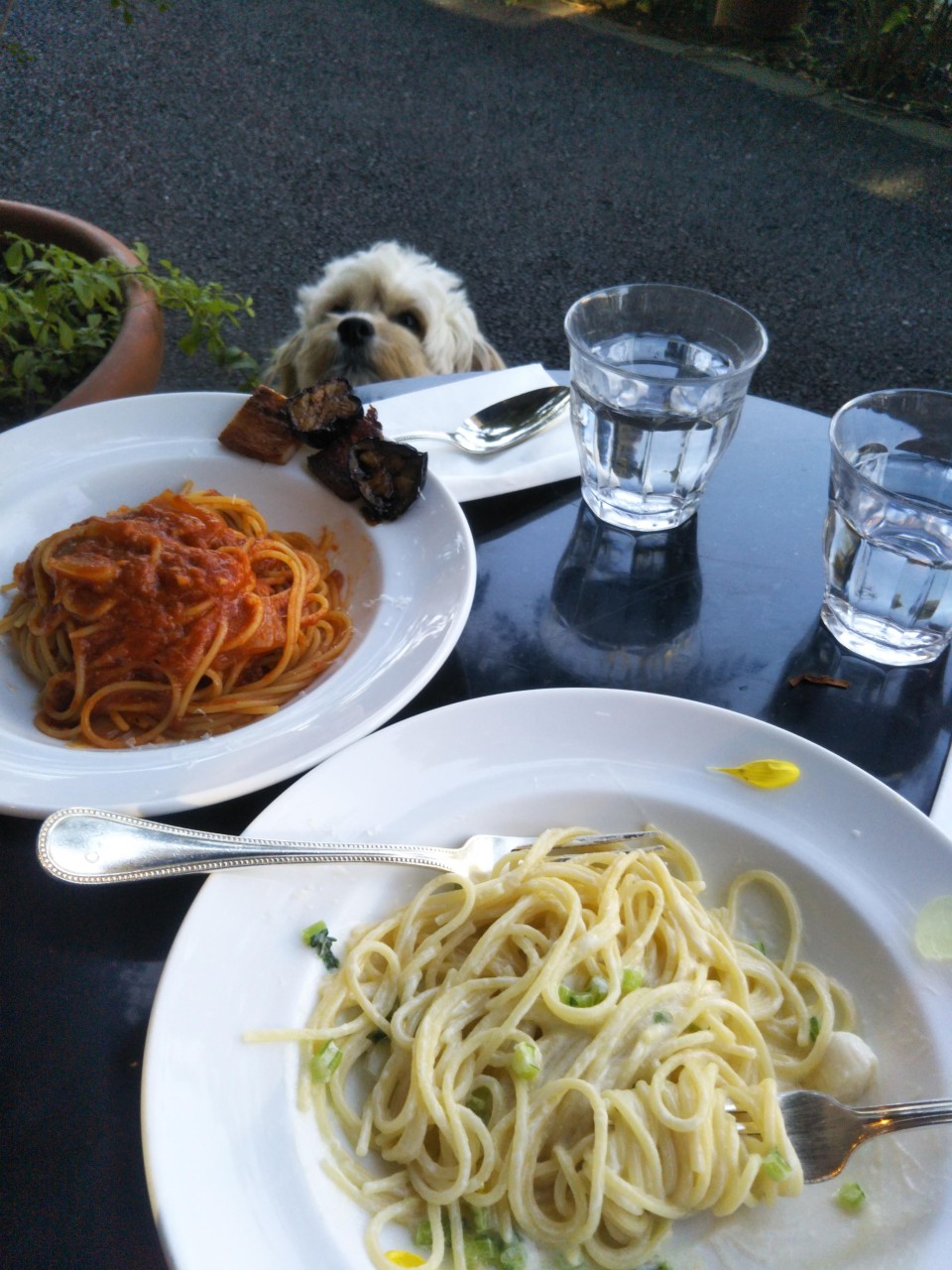 カフェ·ミケランジェロ