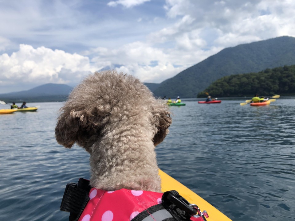 本栖湖　カヌー体験