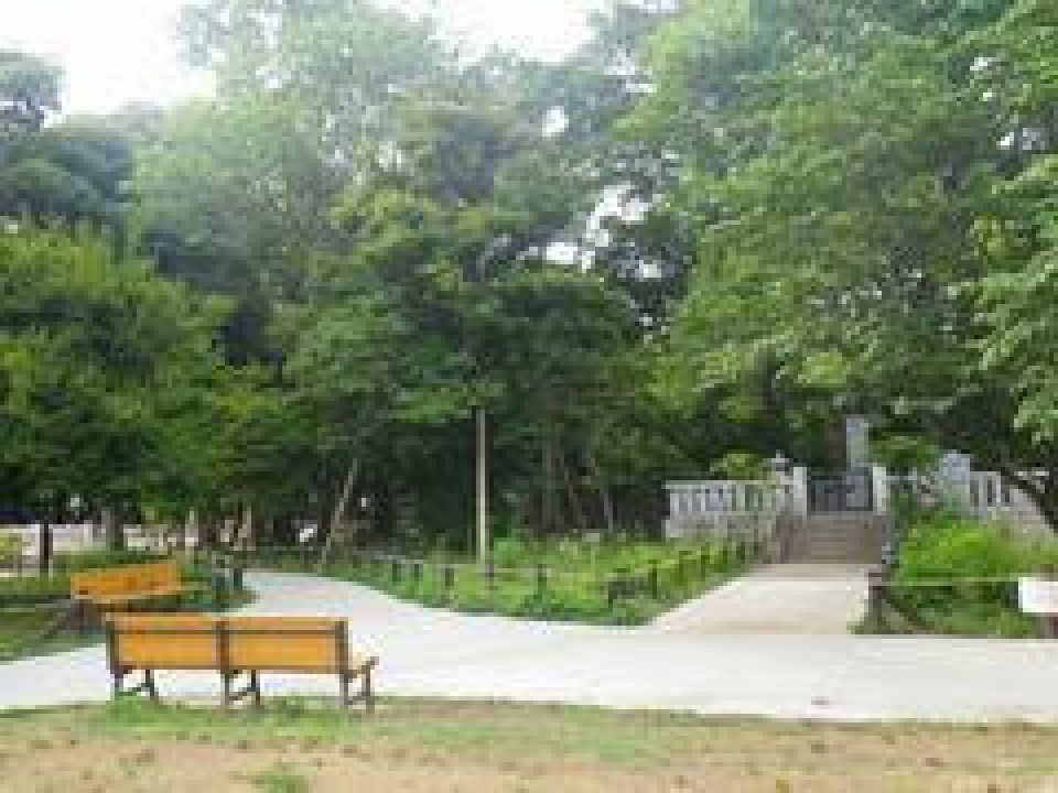 若林公園