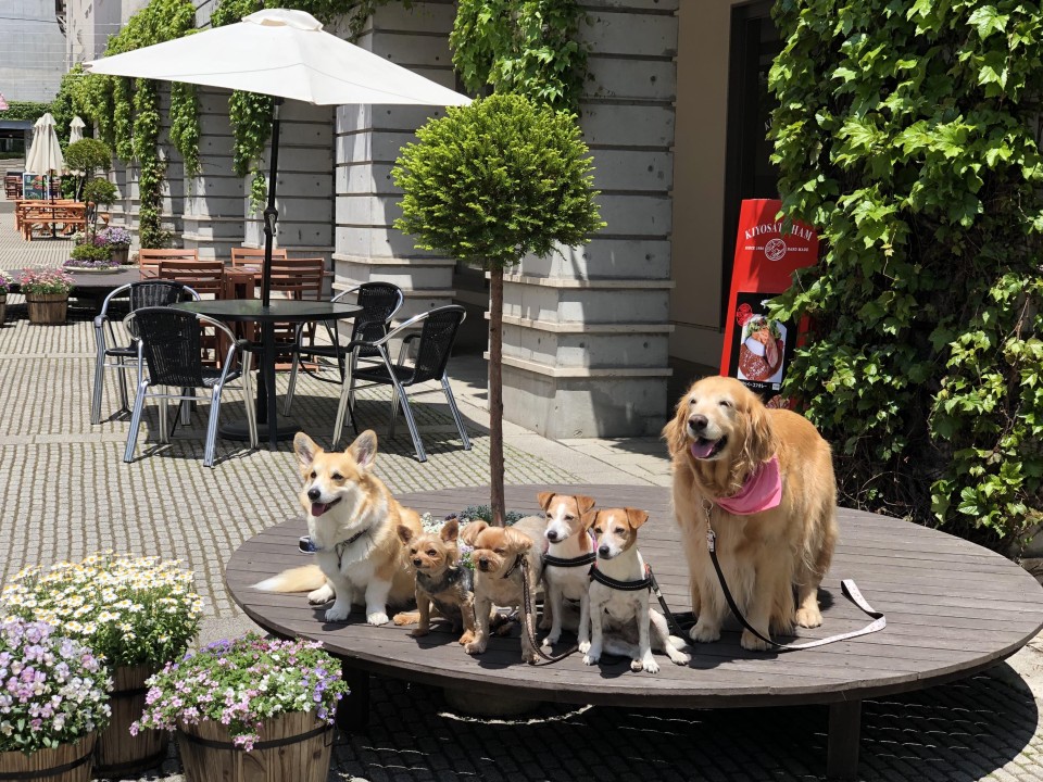 星野リゾート リゾナーレ八ヶ岳