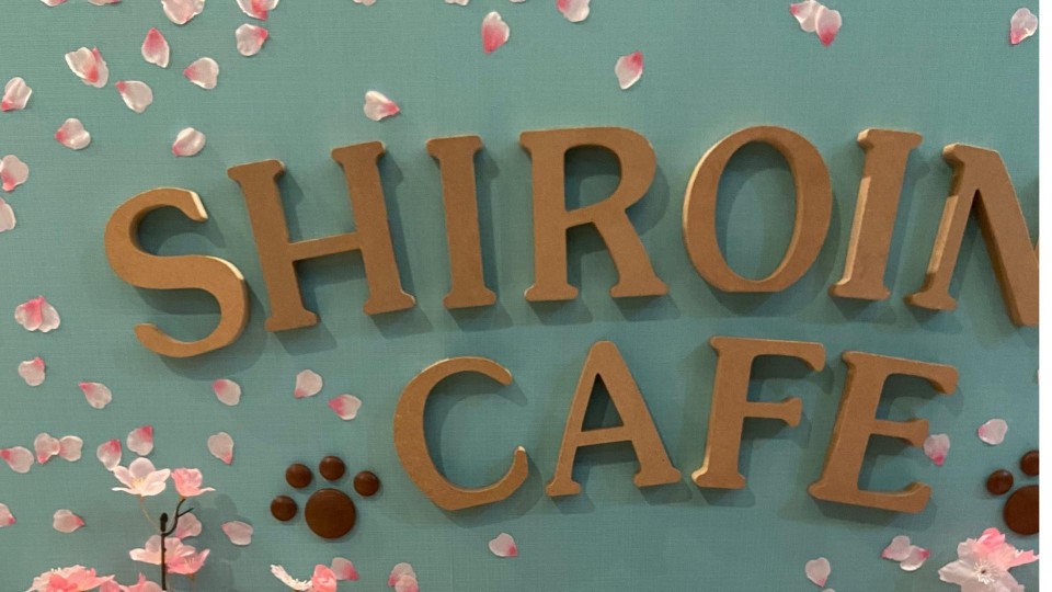 しろいぬカフェ