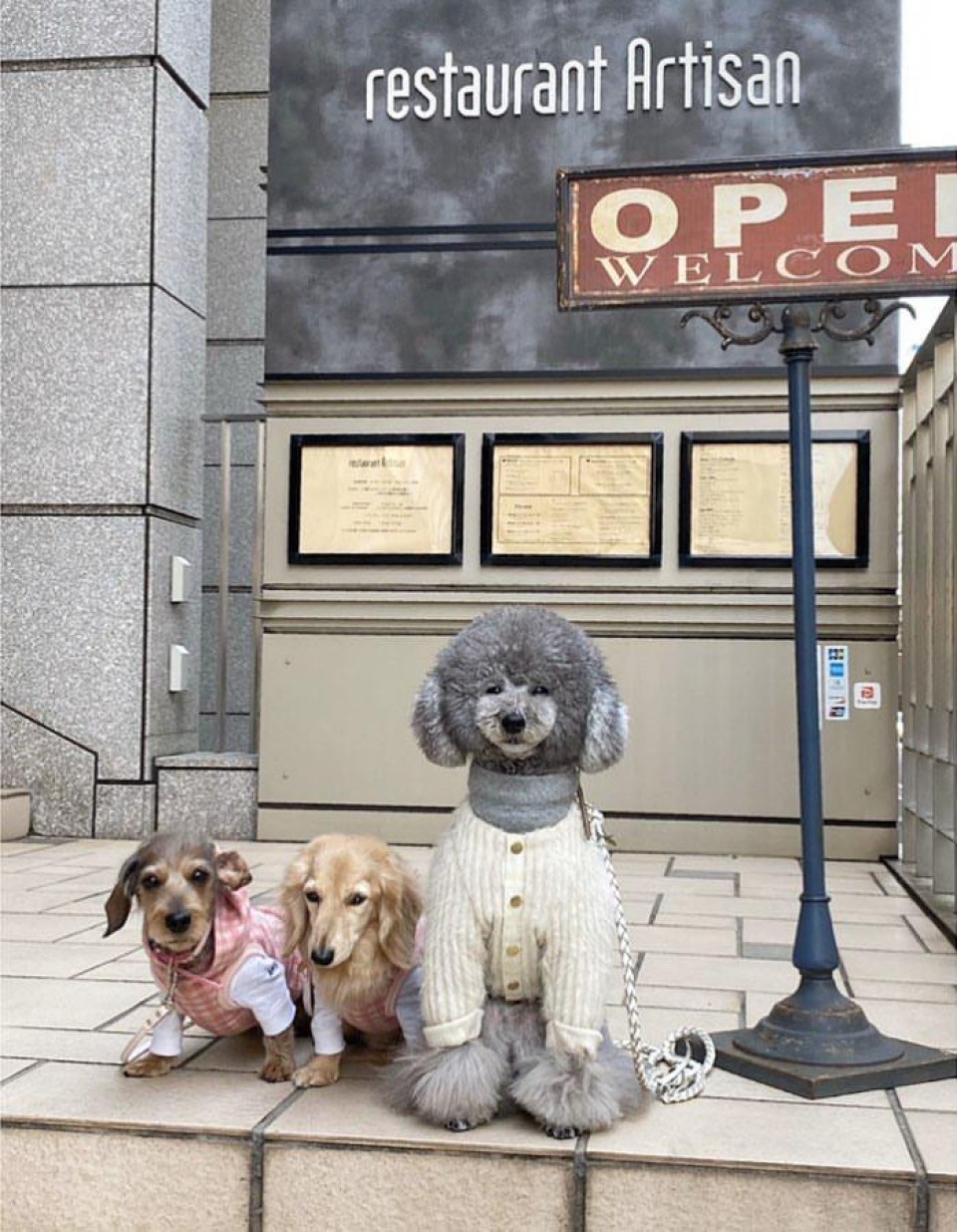 レストラン アルティザン