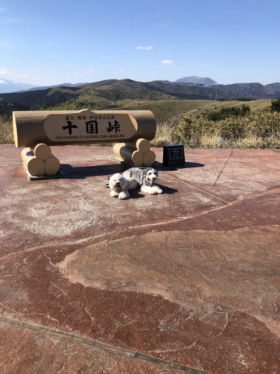 箱根 十国峠ケーブルカー