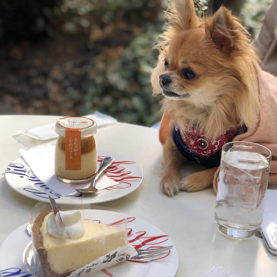 立川 エミリーフローゲ本店