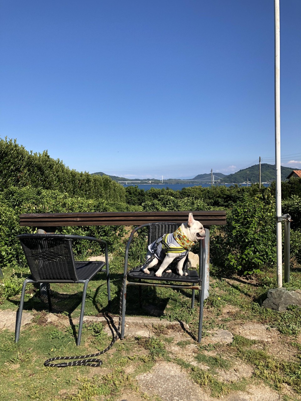 オミシマコーヒー焙煎所