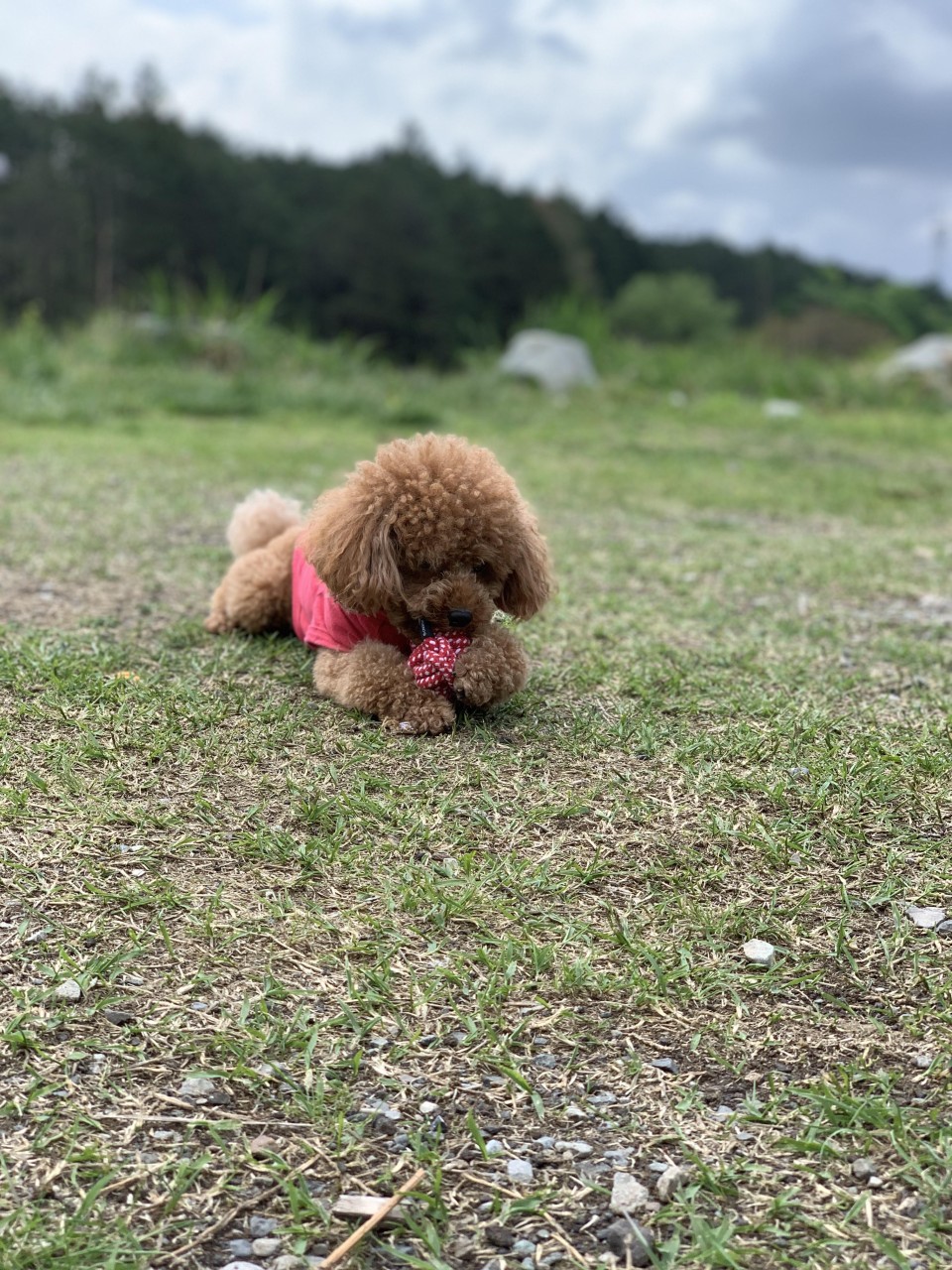 海とふれあい広場