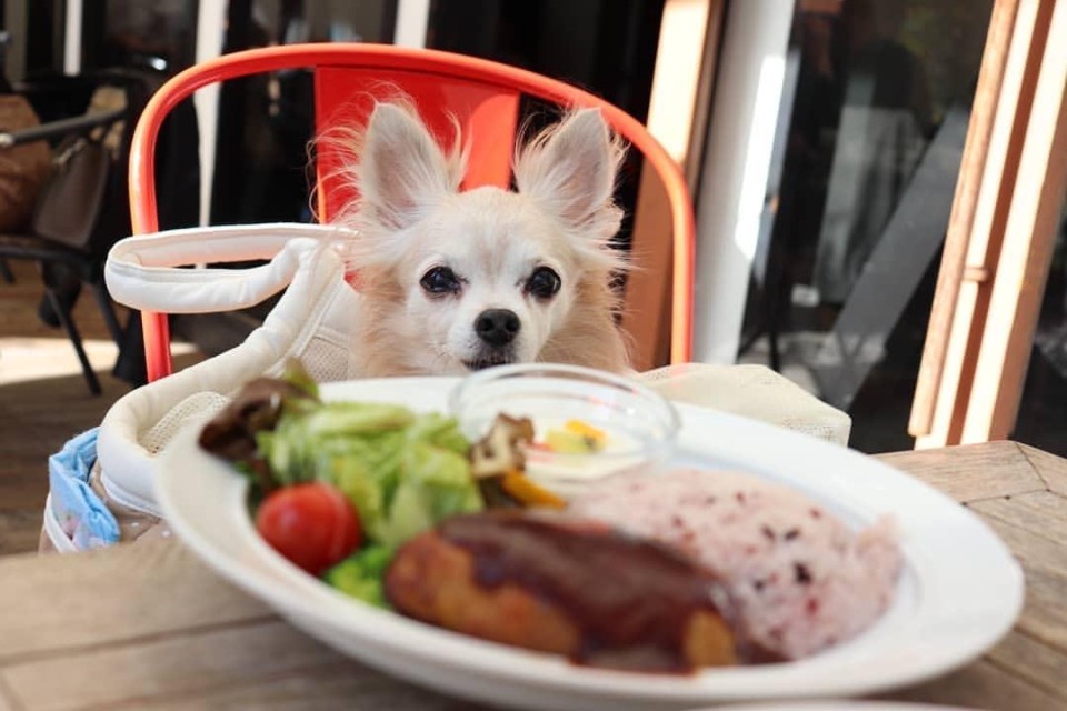 黒壁十八號館 96CAFE （クロカフェ）