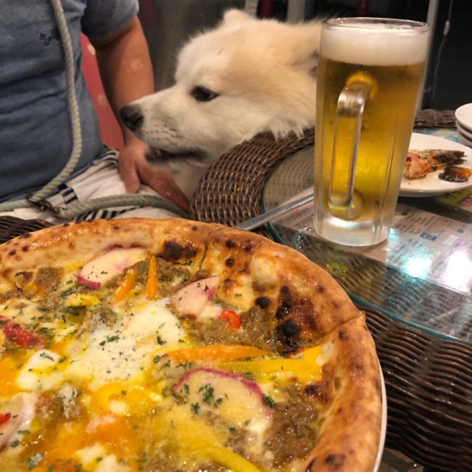 PESCARA （ペスカーラ） 綱島店