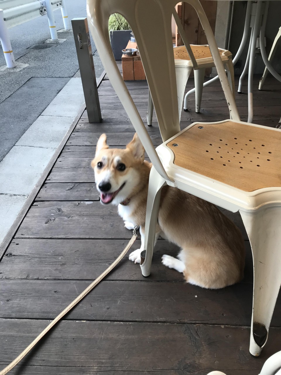 BEANS＆ROASTERS by UCC 自由が丘本店 （ビーンズ＆ロースターズ）