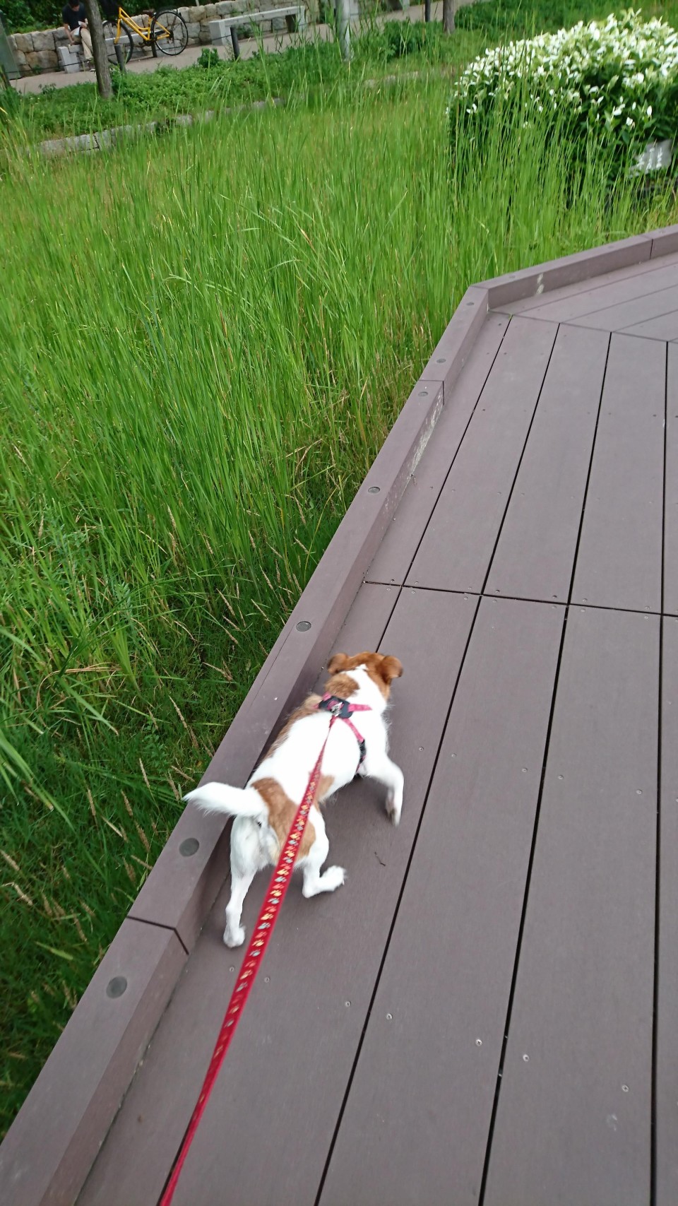天王寺公園　てんしば
