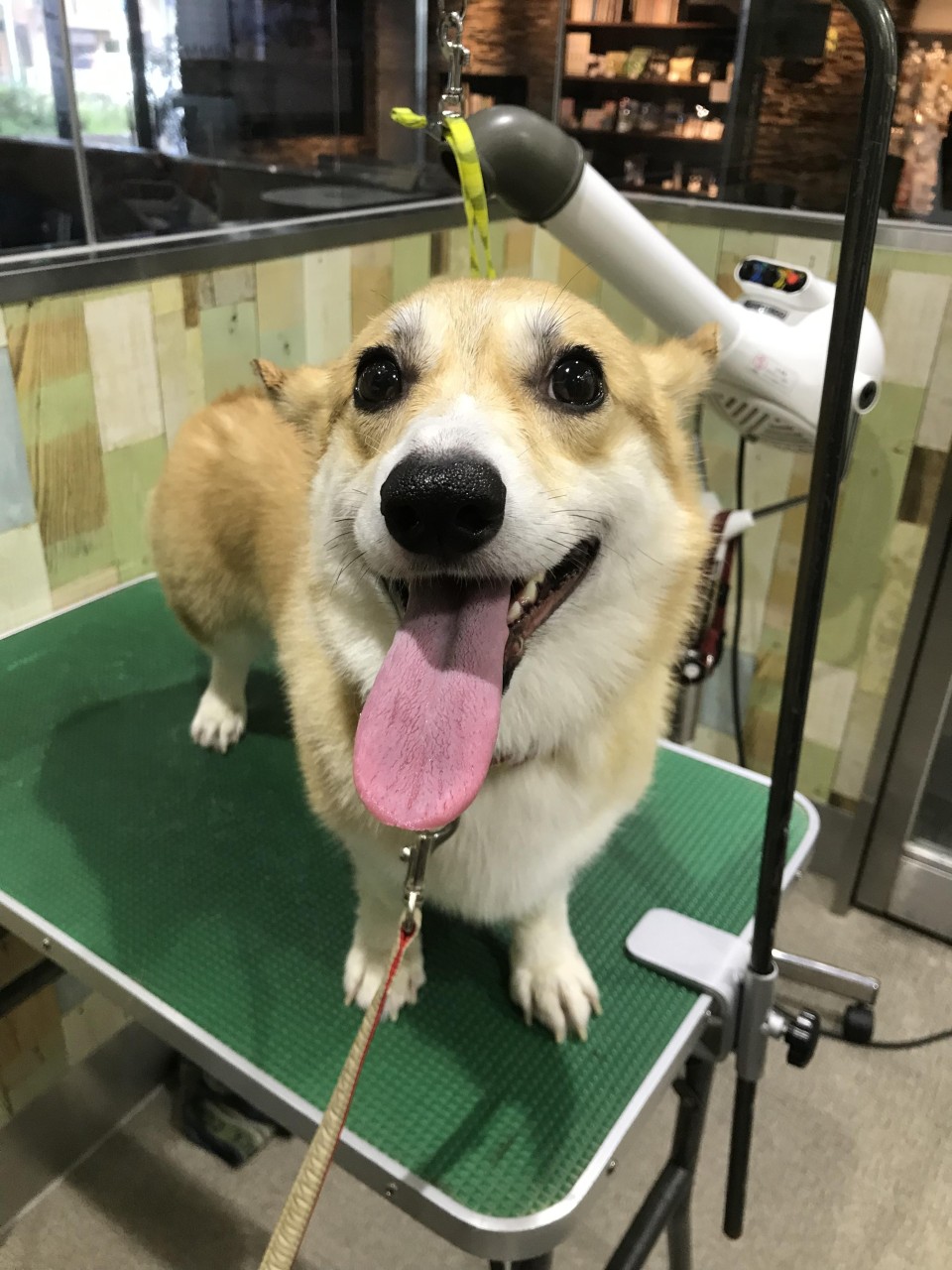 QOLA 目黒 柿の木坂