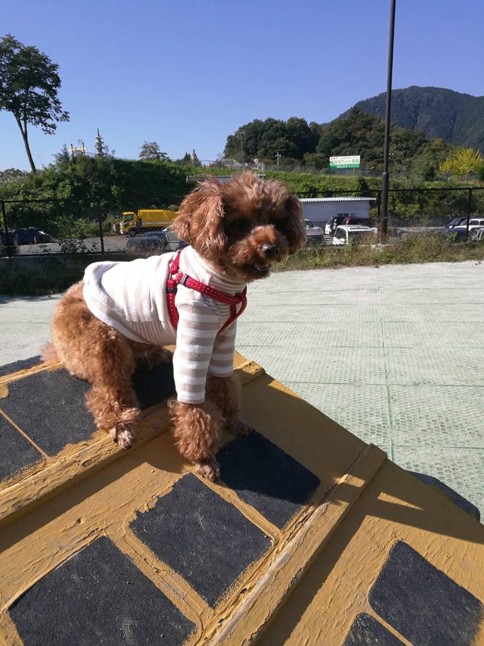 新東名高速道路 駿河湾沼津サービスエリア （下り）