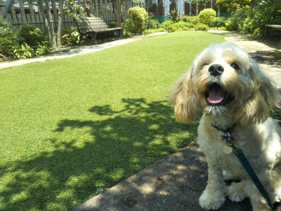 ル・バーラ・ヴァン・サンカンドゥ(LeBaraVin52) 横浜ベイクォーター店