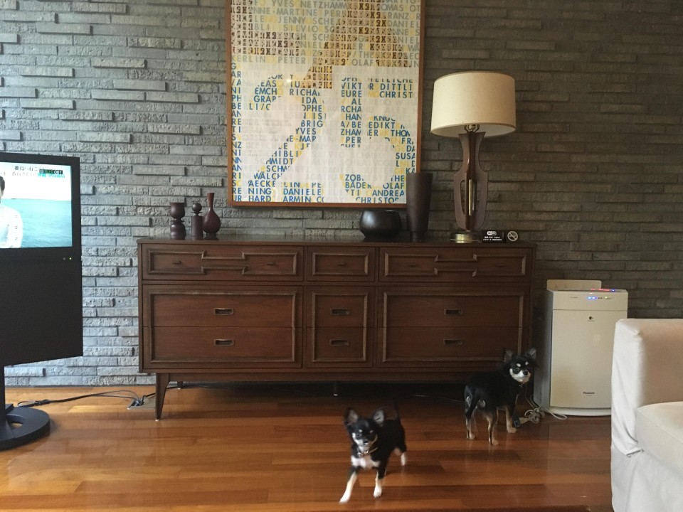 レジーナリゾート富士