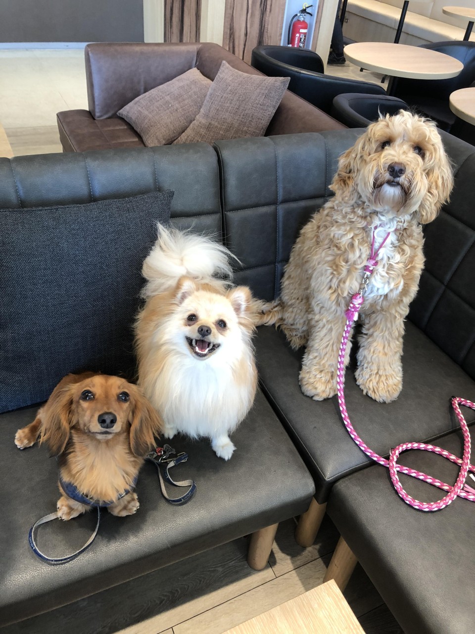 ドトールコーヒーショップ 幕張新都心店