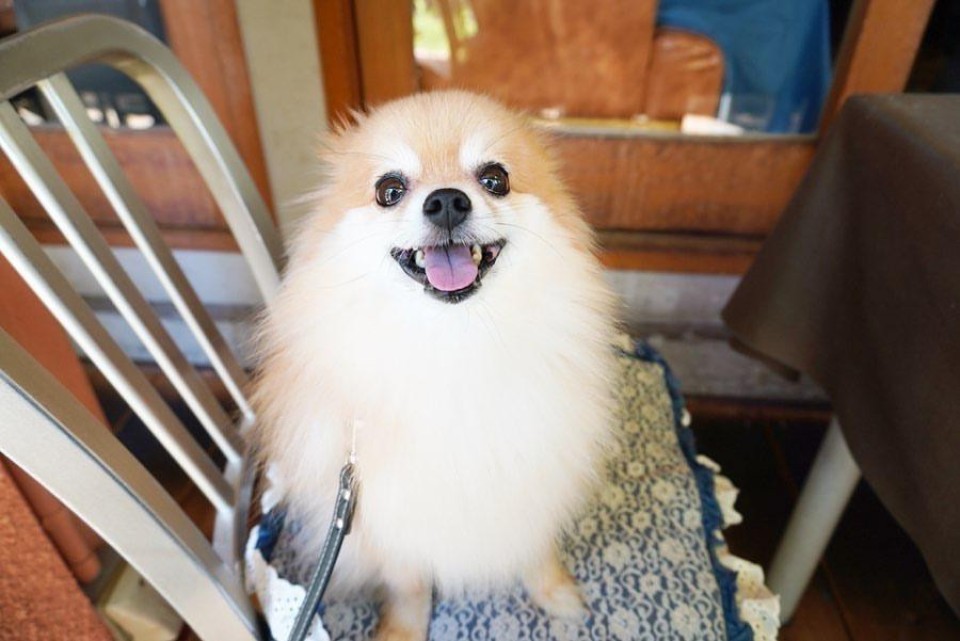 マザームーンカフェ 千里店