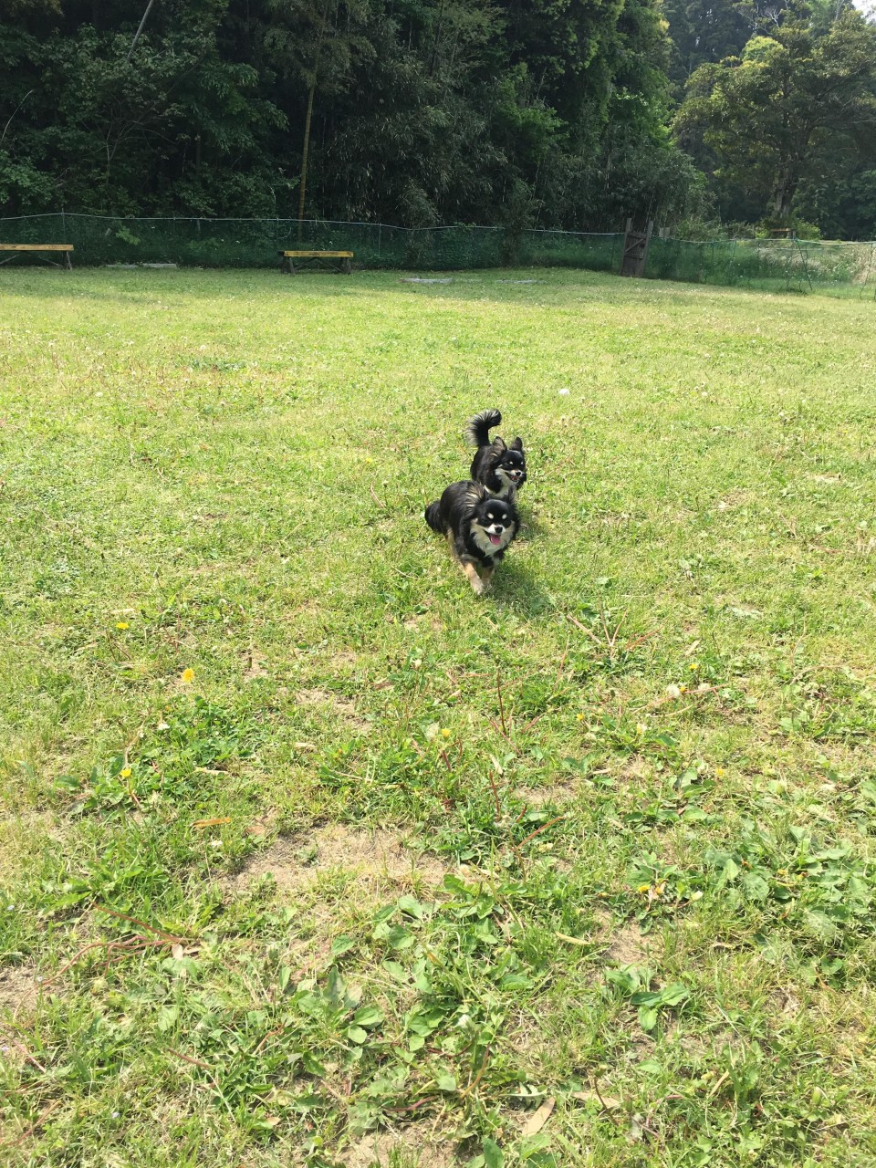 すいらんグリーンパーク