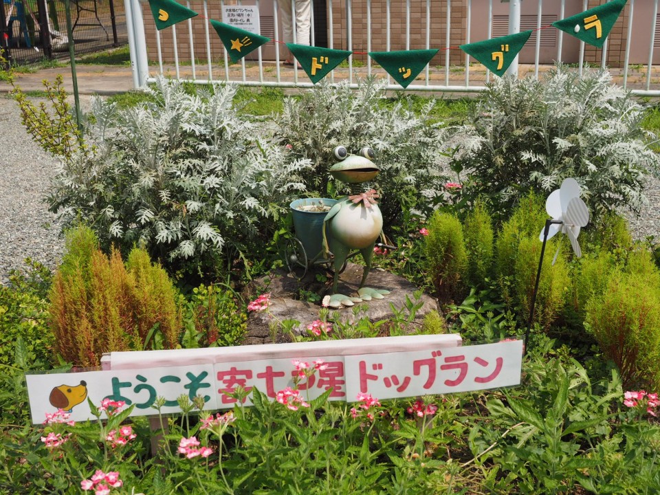 寄七ツ屋ドッグラン