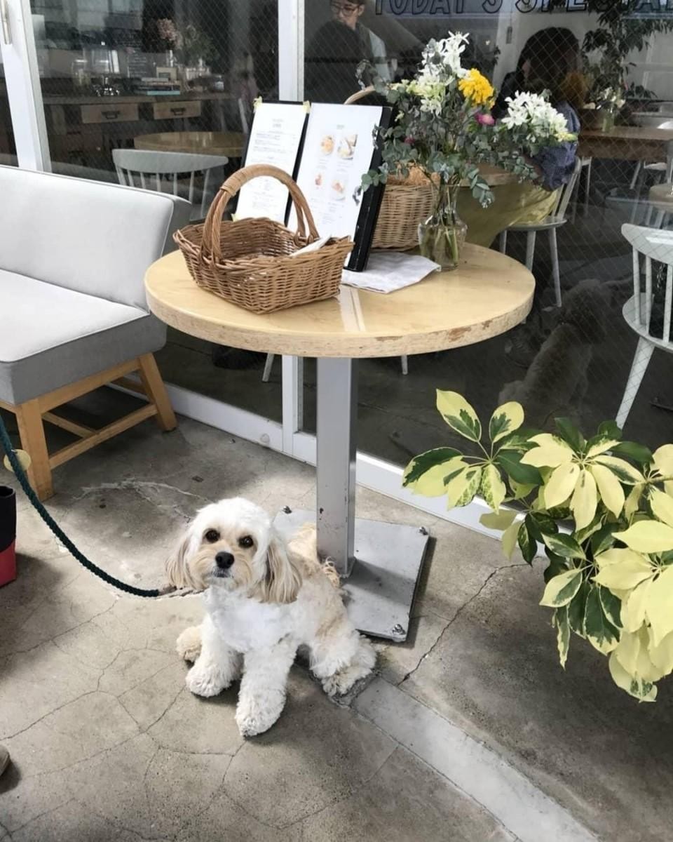 TODAY'S SPECIAL Jiyugaoka