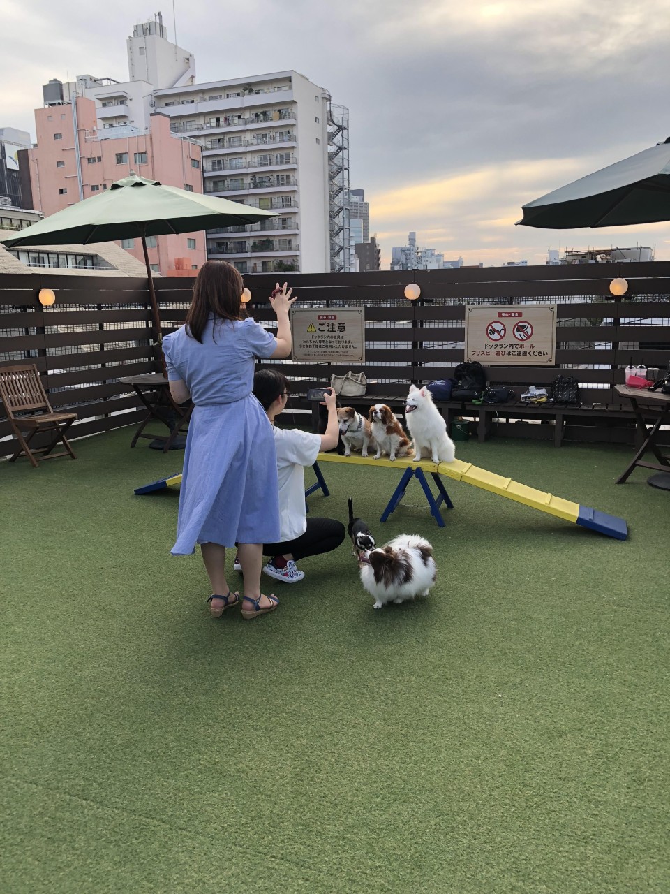 愛犬ヴィレッジ 東新宿店