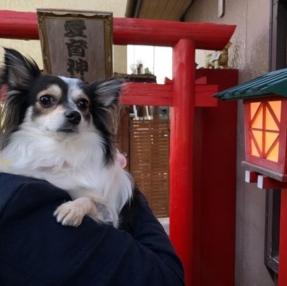 愛育神社 （めぐしじんじゃ）