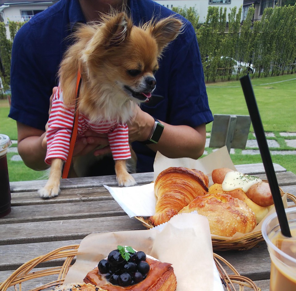 丘の上のパン屋