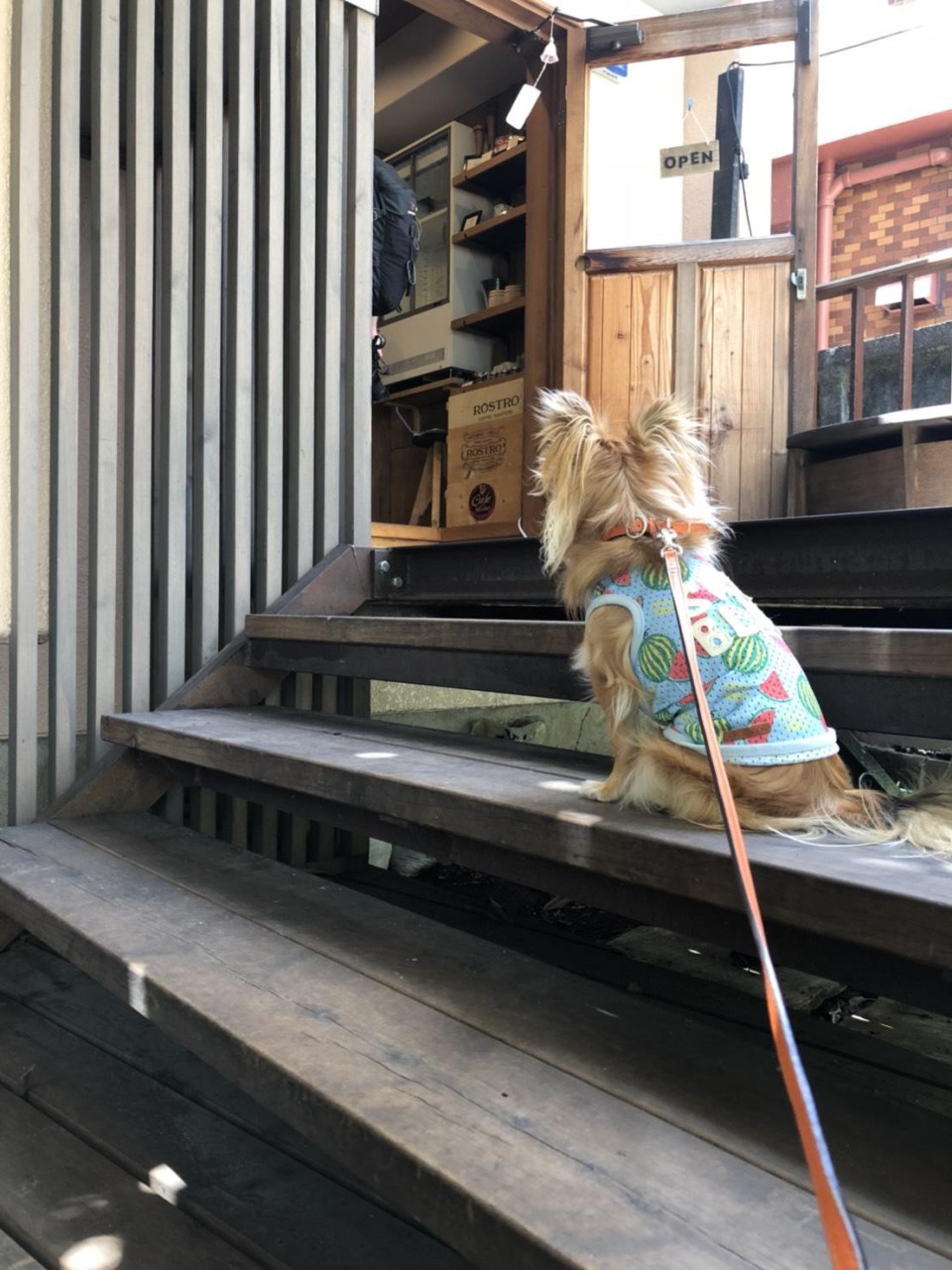 CAFE ROSTRO（カフェロストロ）