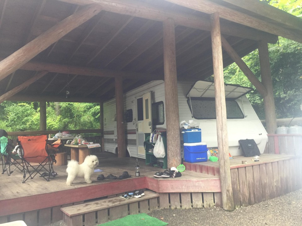 ACNオーキャン宝島